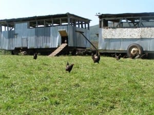 The-Eggmobile-1024x768