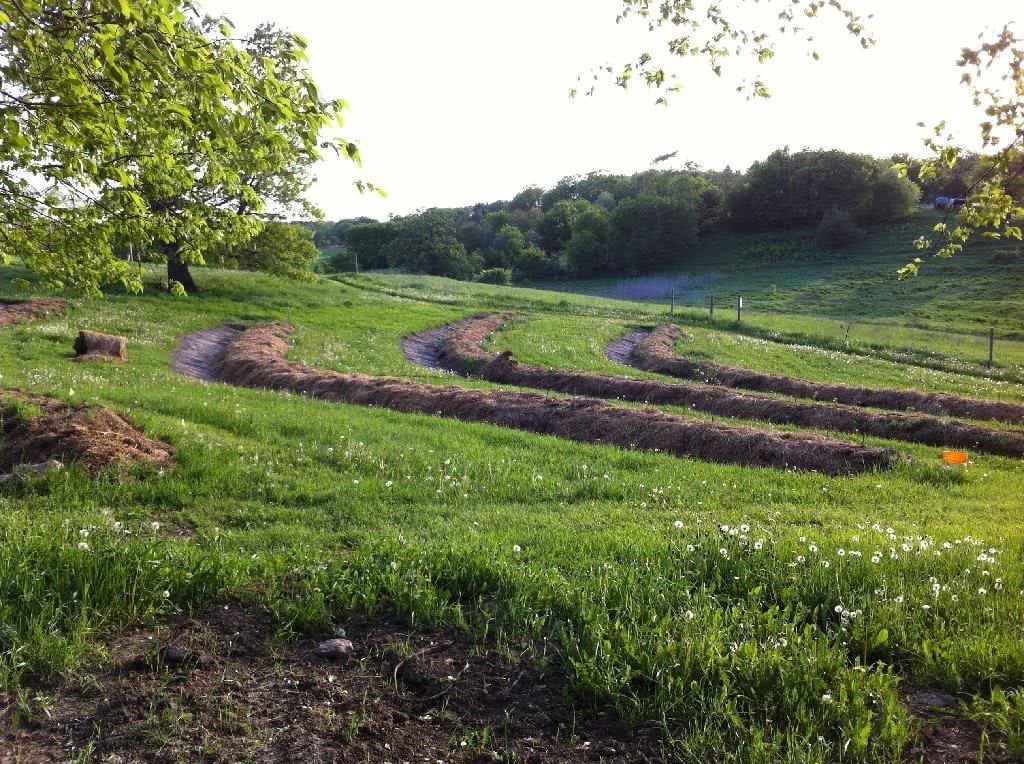 permaculture water management