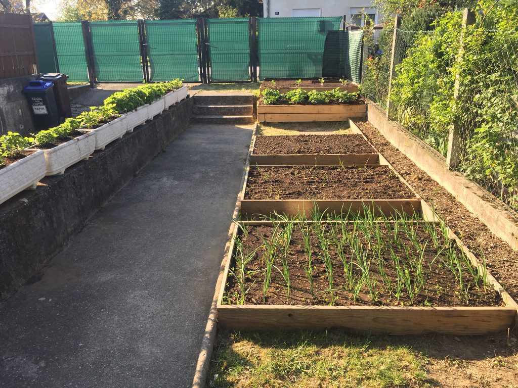 How to build an Organic Raised Bed on a Sloped Yard - Deeply