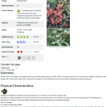 Elaeagnus-umbellata-Autumn-Olive-PFAF-Plant-Database
