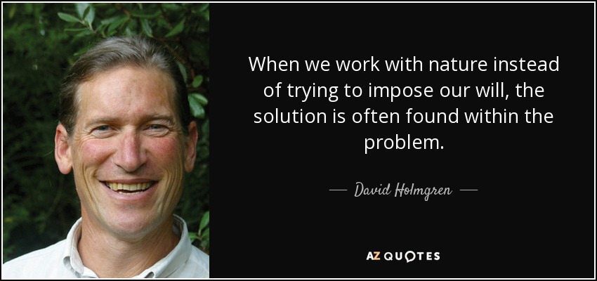 permaculture principle working with nature