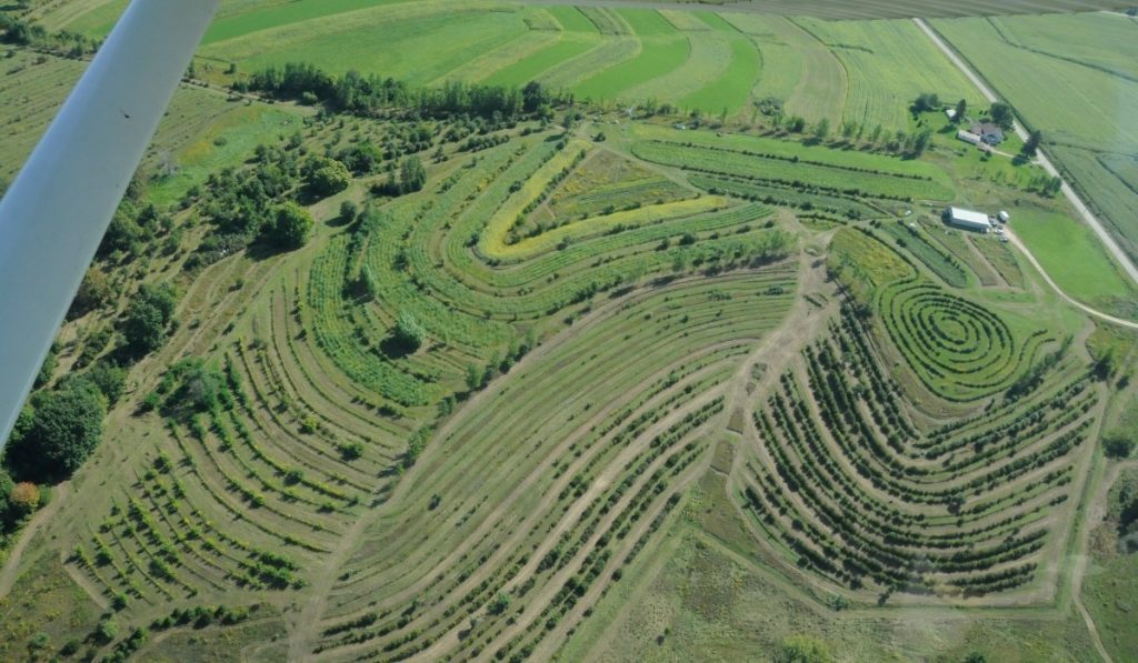 Food Forest Mark Shepard