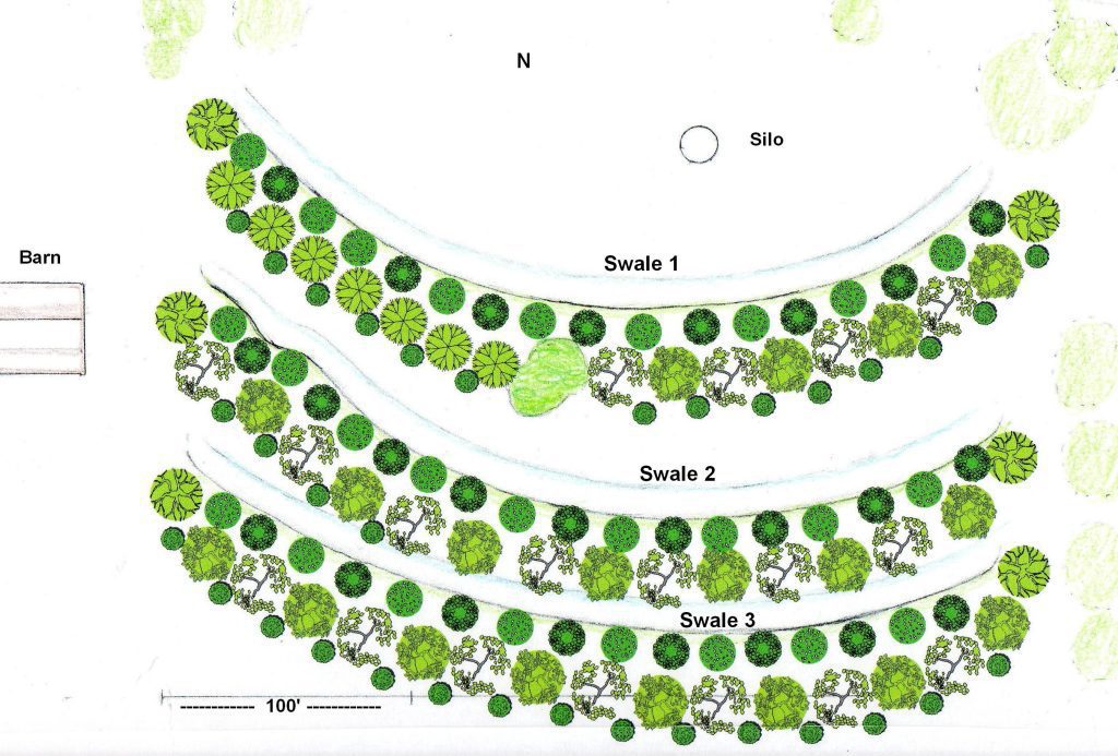Food Forest with swales