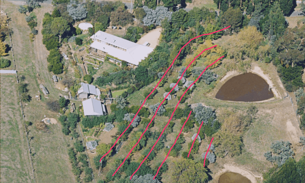 Food Forest Melliodora